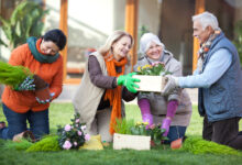 Photo of 4 Great Activities for Seniors